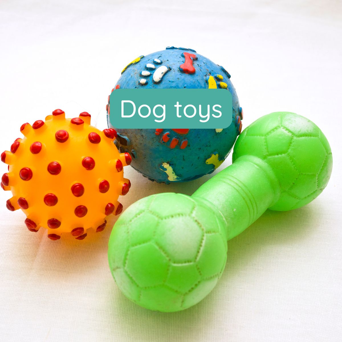 Dog Toys & Enrichment: Keeping your dog busy, happy and mentally stimulated