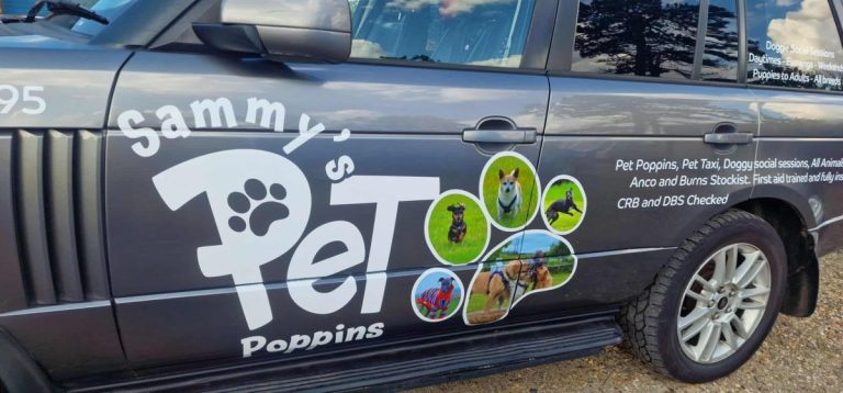 pet poppins 7 768x358