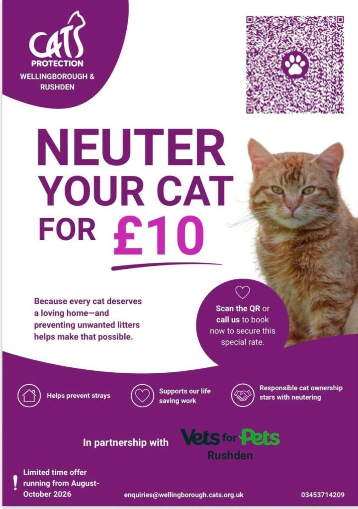 Cats protection neutering 720x1024
