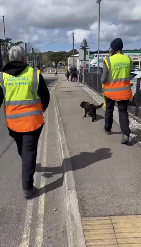 Cornwall Search Dogs 5