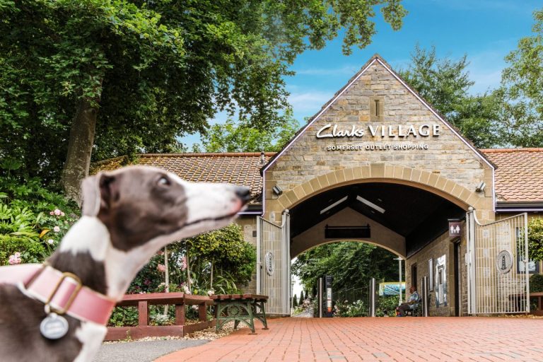 Dog Friendly Clarks Village 768x512