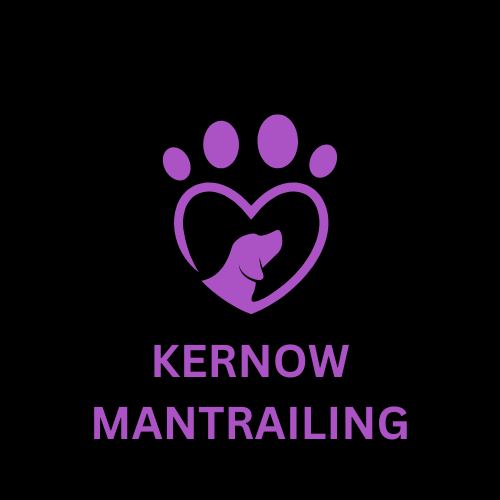 Kernow Mantrailing logo no flag 3